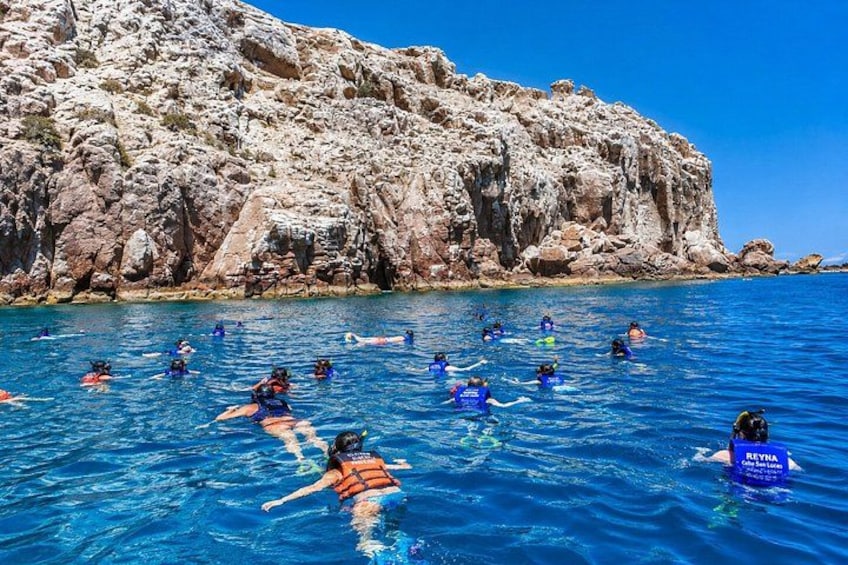 Isla Espíritu Santo and Balandra Beach Tour with Sea Lion Colony 1
