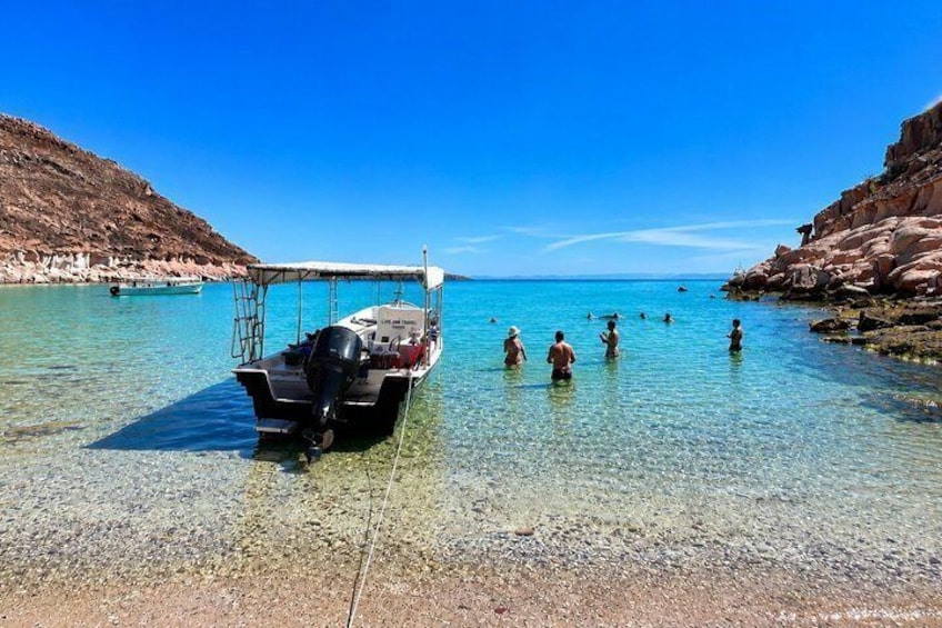 Isla Espiritu Santo, Balandra and Sea Lions All Inclusive 4