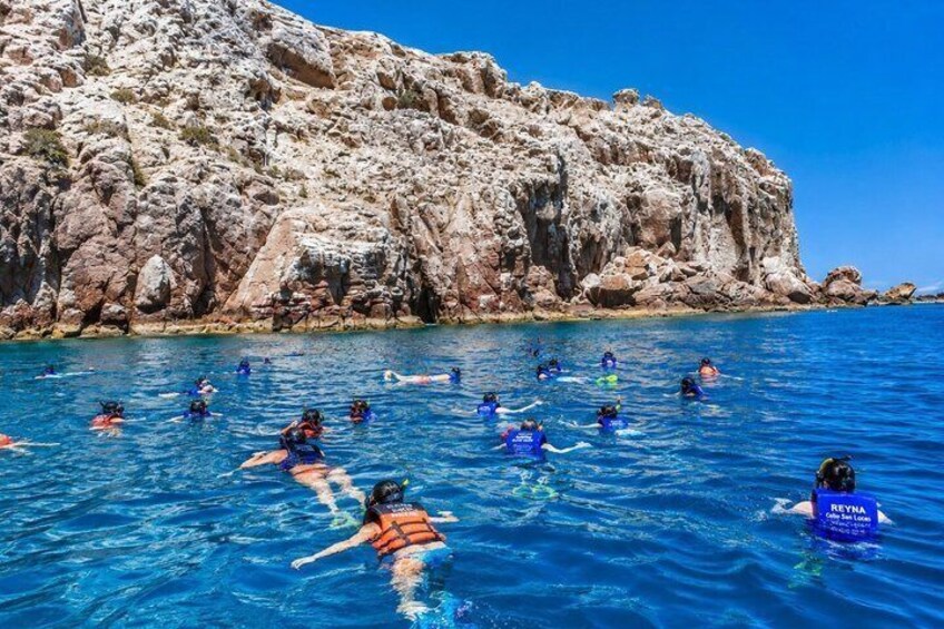 Isla Espiritu Santo, Balandra and Sea Lions All Inclusive 1