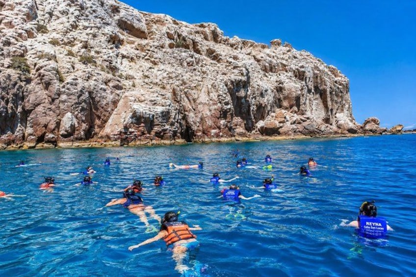 Isla Espíritu Santo and Balandra Beach Tour with Sea Lion Colony 1