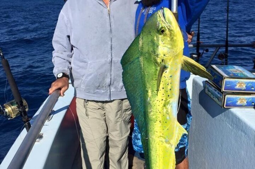 Eine Person hält einen großen Fisch auf einem Boot. 5