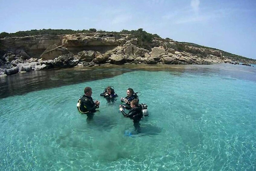 Divers in clear water with rocky terrain in the background. 4