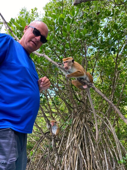 A man in a blue shirt and sunglasses interacting with a monkey on a tree branch. 5