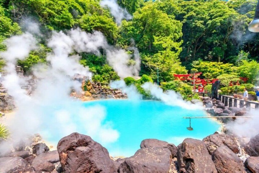 Beppu: Hot Springs Onsen Private Tour with Local Guide 1