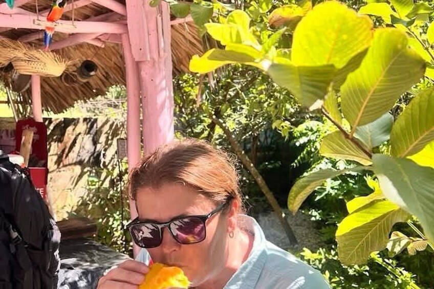 Eine Person isst eine gelbe Frucht unter einem Dach aus Schilf, umgeben von üppigem Grün. 4