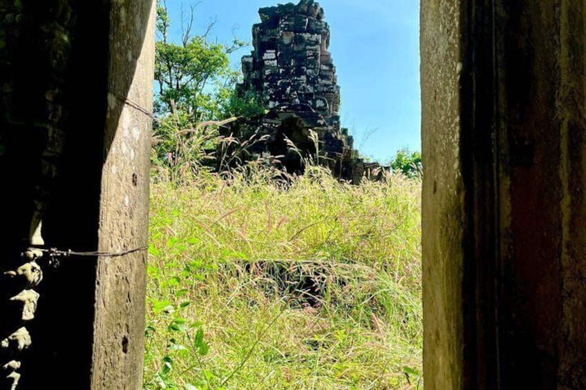Una estructura de templo en ruinas en medio de hierba exuberante. 4