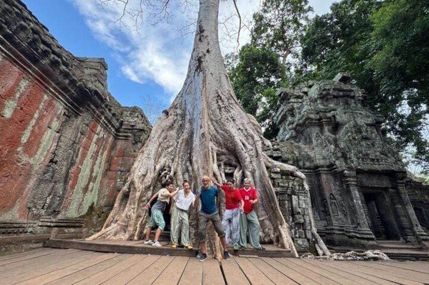 A large tree with extensive roots in front of ancient stone structures. 4