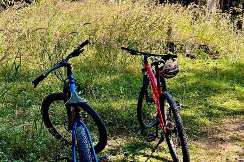 Dos bicicletas apoyadas en un área cubierta de hierba, con pasto alto y árboles al fondo. 1