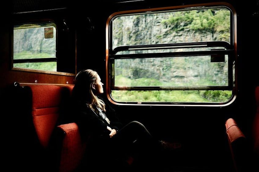 A person sitting by a window on a train, looking outside. 1