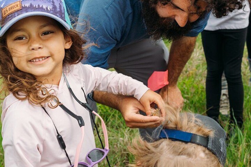 A person interacting with a dog wearing a harness. 3