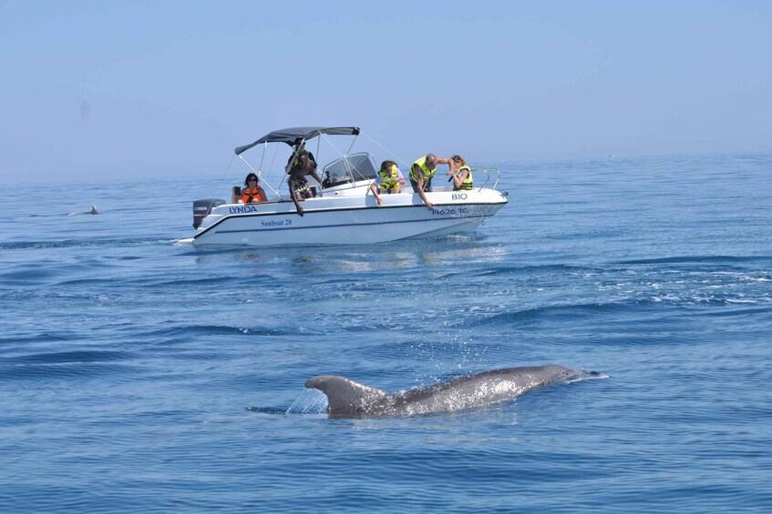 Picture 32 for Activity Excursion bateau dauphins Djerba mer turquoise 5