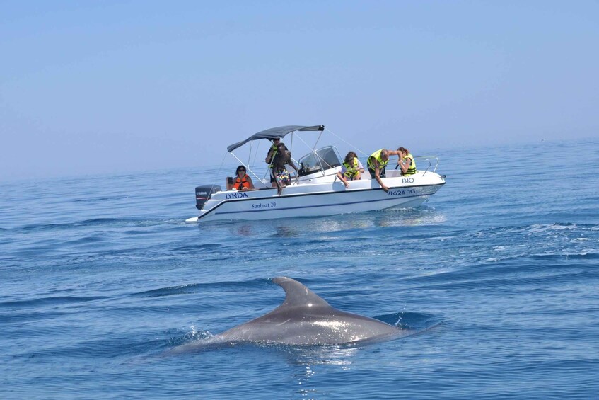 Excursion bateau dauphins Djerba mer turquoise 1