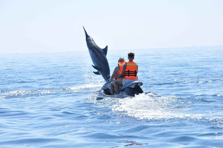 Two people on a jet ski with a dolphin jumping out of the water. 3