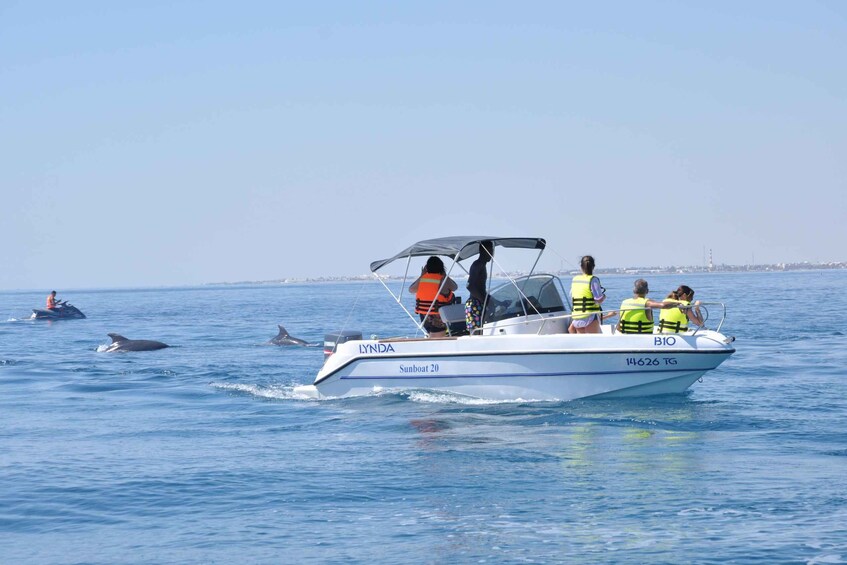 Picture 31 for Activity Excursion bateau dauphins Djerba mer turquoise 4