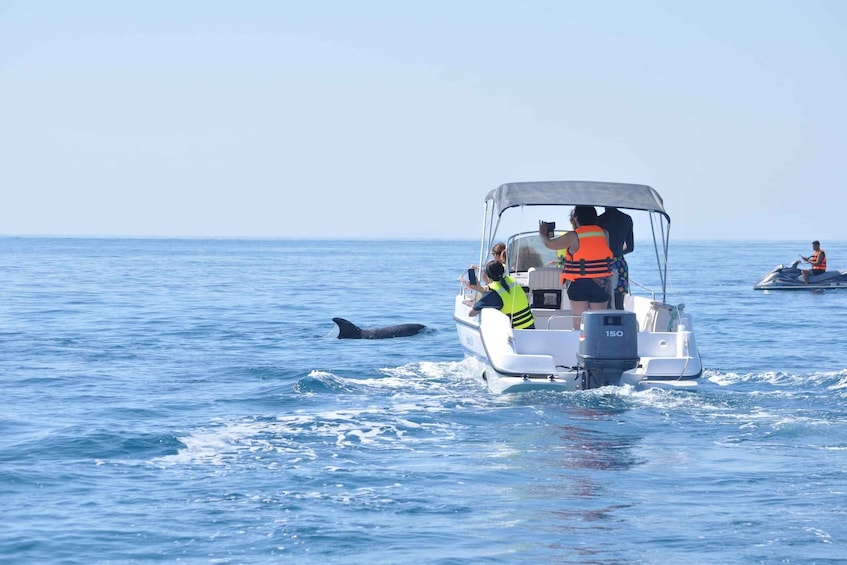 Picture 30 for Activity Excursion bateau dauphins Djerba mer turquoise 2