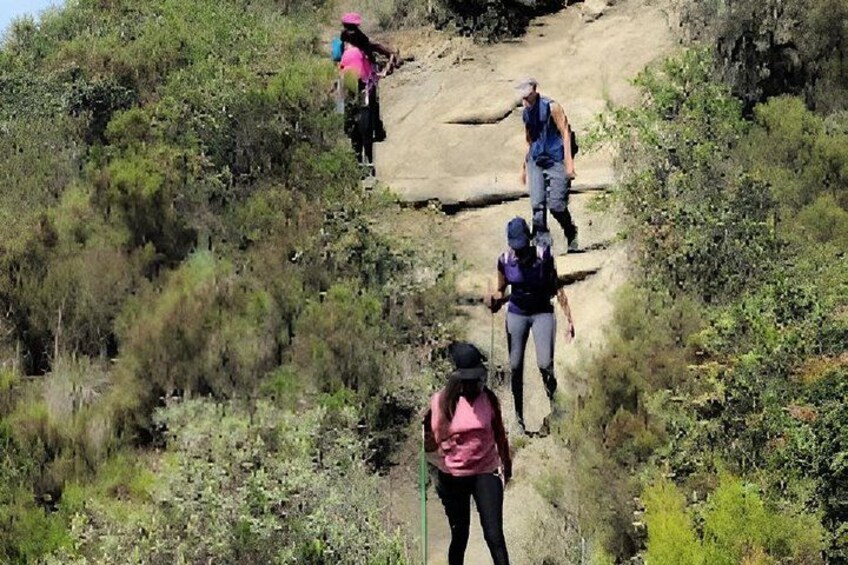 Day tour to Mount Longonot park from Nairobi 1