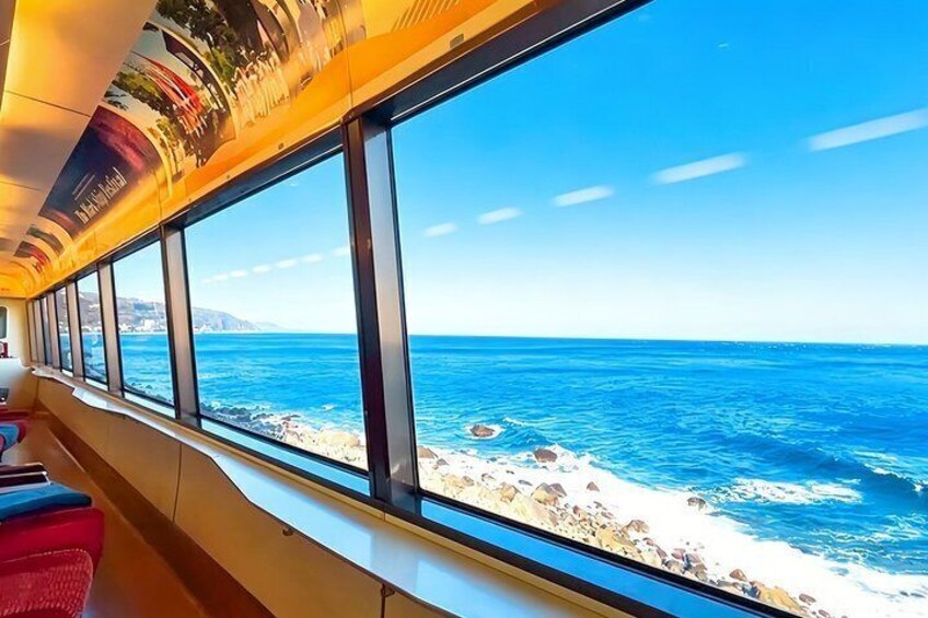 Izu Small Group: Ocean-View Train, Mt. Omuro & Coast 5