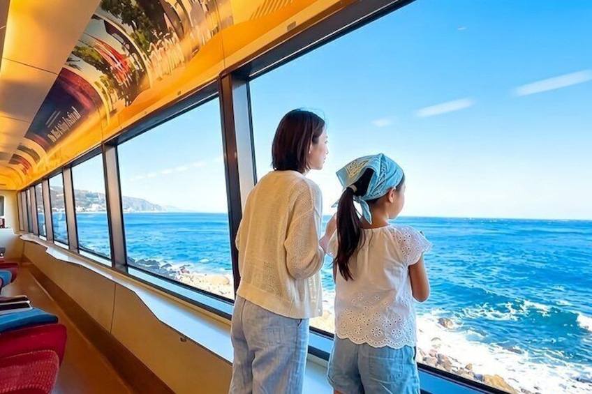 Izu Small Group: Ocean-View Train, Mt. Omuro & Coast 2