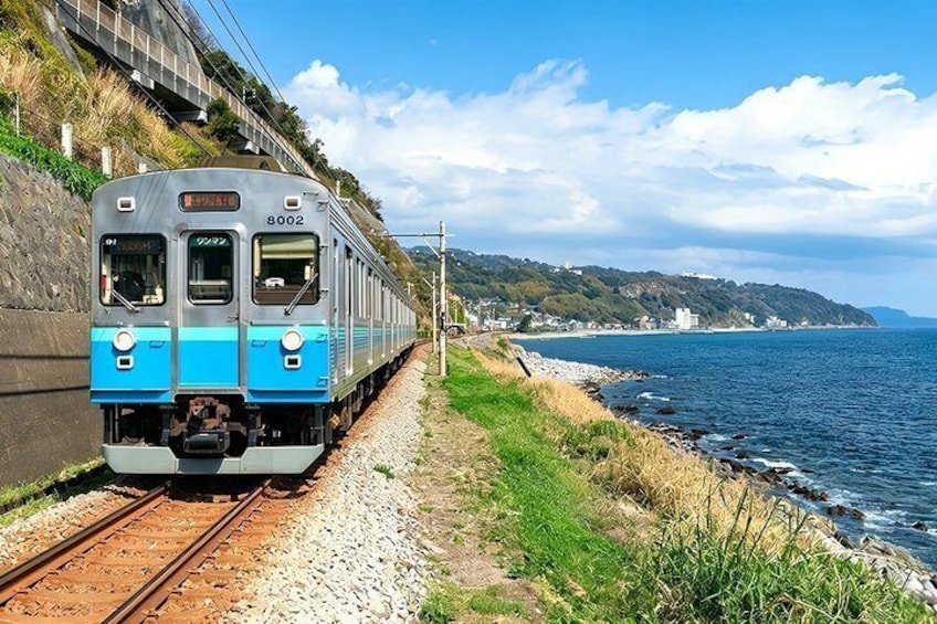 Izu Small Group: Ocean-View Train, Mt. Omuro & Coast 3