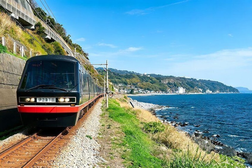 Izu Small Group: Ocean-View Train, Mt. Omuro & Coast 4
