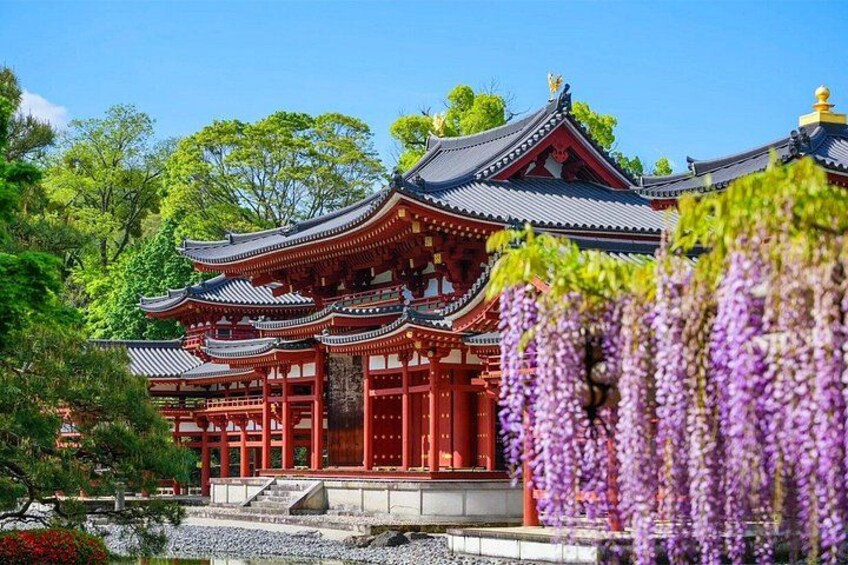 Nara and Uji Day Trip with Deer Park from Osaka 5