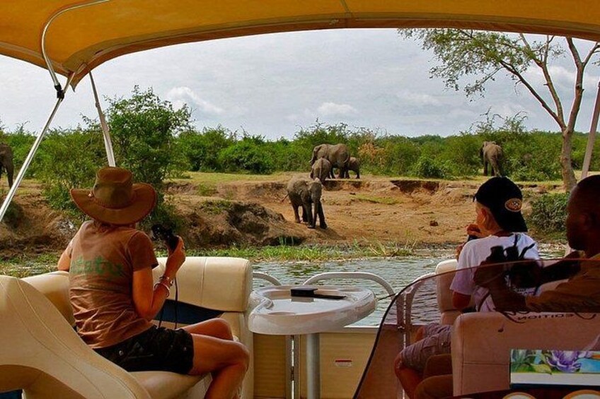 Ett safari-fordon med turister som iakttar elefanter i deras naturliga miljö. 1