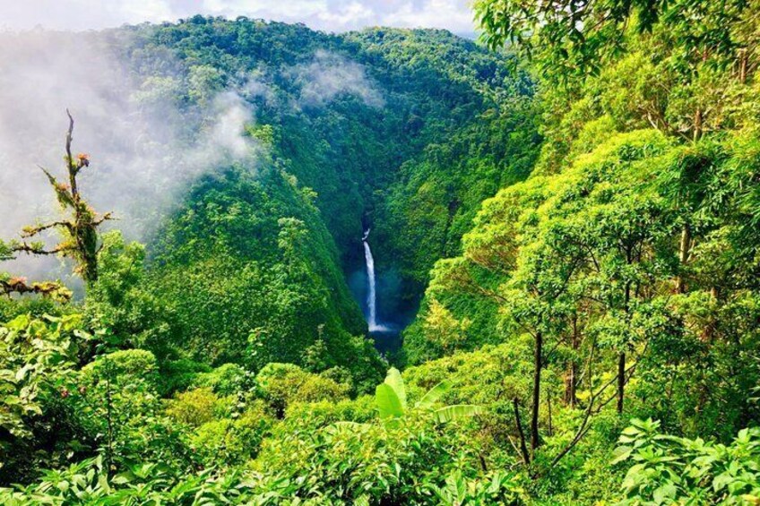 A lush green forest with a waterfall cascading down a cliff. 3