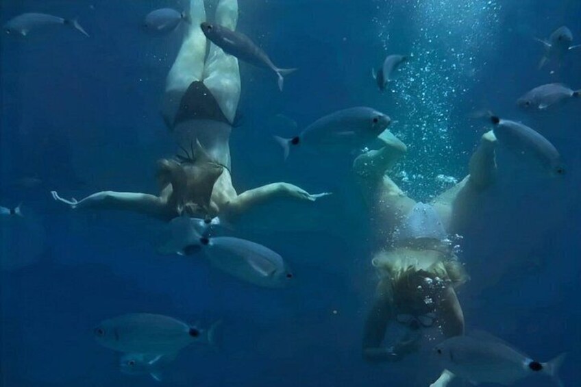 A person swimming underwater with fish. 1