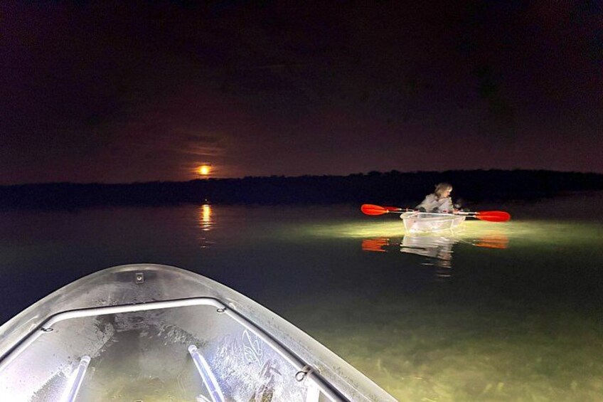 Night Glow Clear Kayak Adventure in Anna Maria Island 3