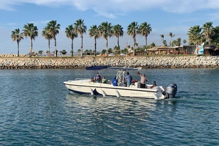 whale watching in San Jose del cabo 2
