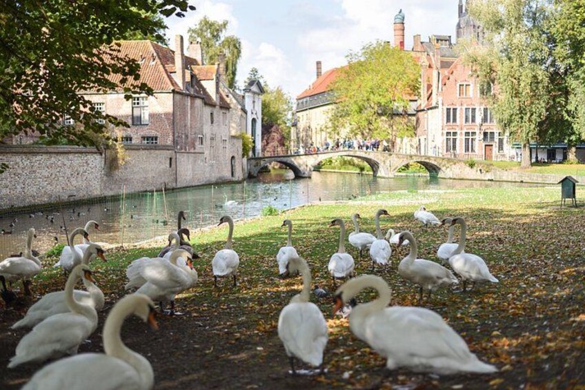 Bruges and Ghent by small group train with boat ride 2