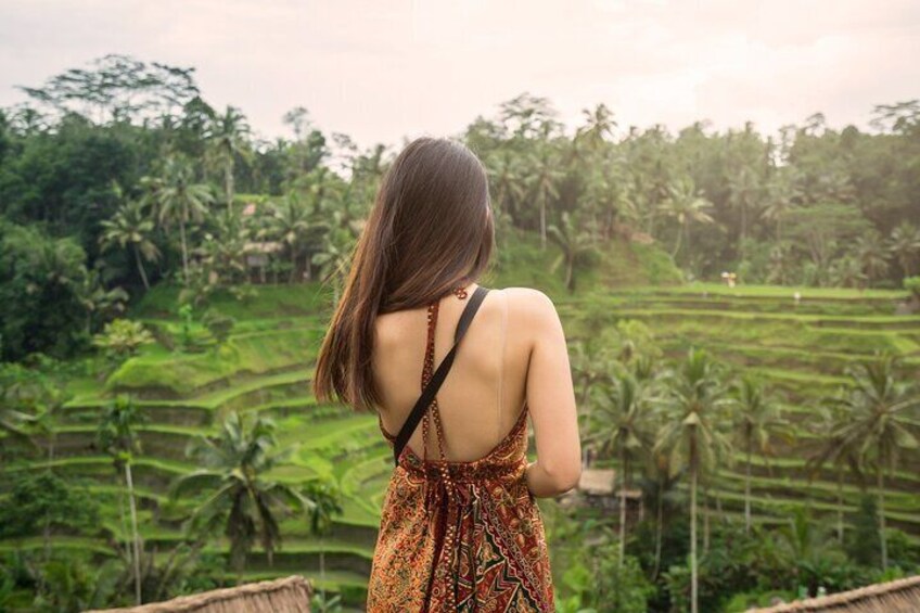 A person standing with a view of terraced fields and palm trees. 4