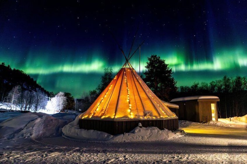 Evening Enchanting Arctic Aurora Husky Visit 1