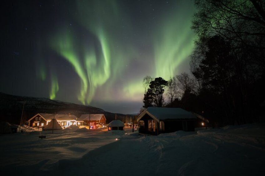 Evening Enchanting Arctic Aurora Husky Visit 2