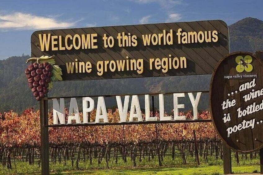 Napa and Sonoma Wine Country Small Group Tour from Cupertino 1