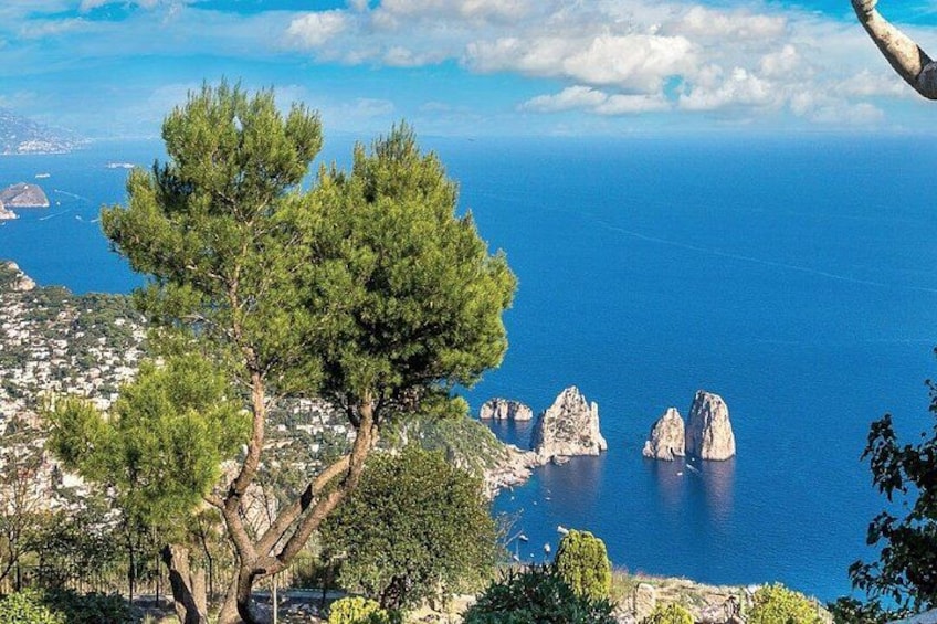 A pine tree, rocky coastline, and a distant cityscape. 2