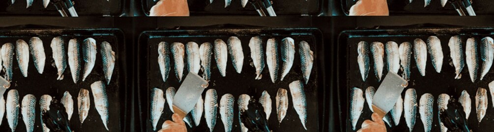 A series of trays with fish arranged in rows. 2