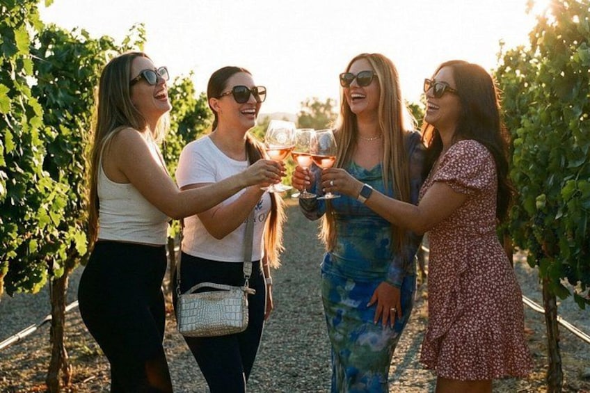 Four people toasting with wine glasses in a vineyard. 2