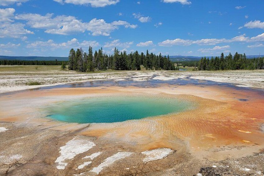 Guided Yellowstone Tour from Big Sky and West Yellowstone 4
