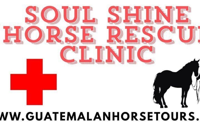 Pacaya Volcano Luxury Sunset Horseback Riding Tour/ Dinner Cooked by-Lava Chef 2