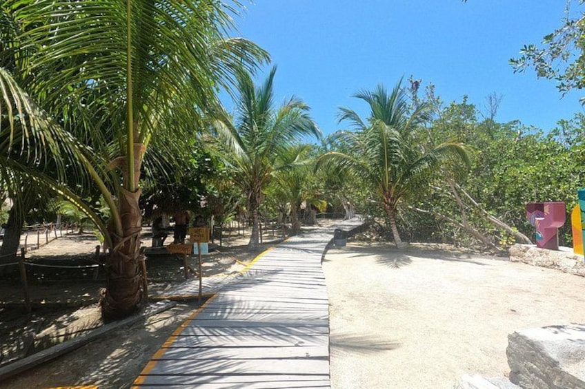 A pathway lined with palm trees, a sandy area, and a concrete path. 2