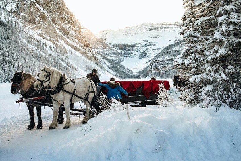 A horse-drawn sleigh on a snowy mountain path. 4