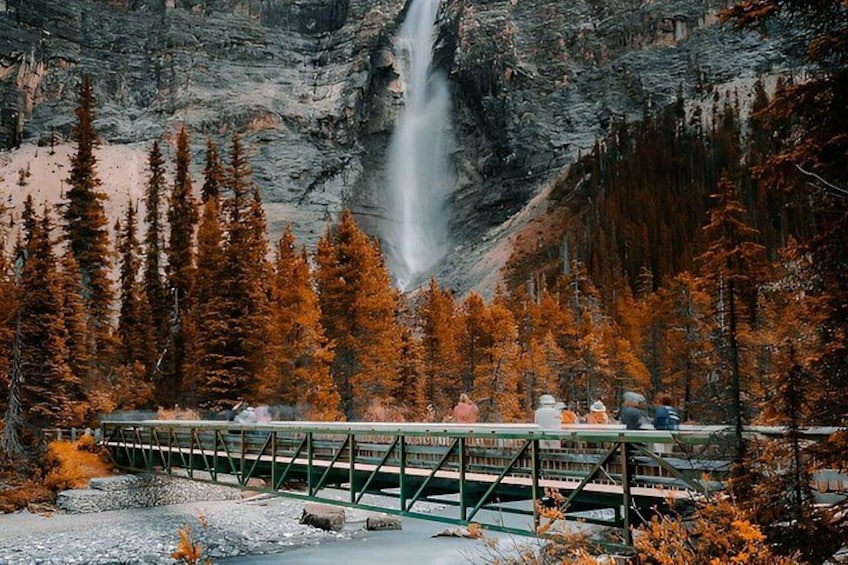 A waterfall, a bridge, and a forest with autumn-colored trees. 3