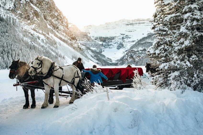 Private Premium Custom Banff Tour Moraine Lake Louise 10 Spots 5