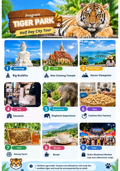 Picture 5 for Activity Phuket: Half Day Big Buddha, Tiger Park & ATV Tour 2