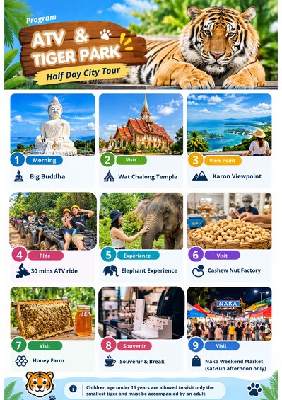 Picture 4 for Activity Phuket: Half Day Big Buddha, Tiger Park & ATV Tour 3