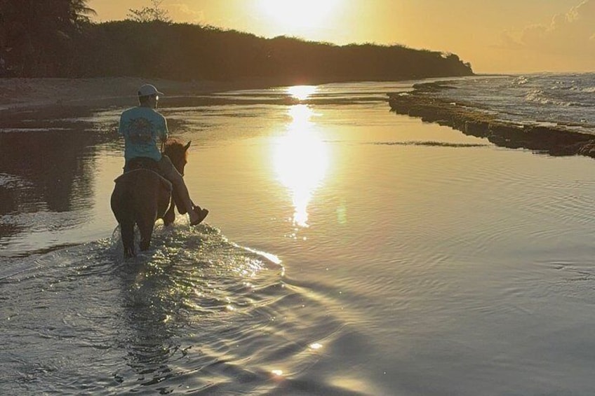 Horseback Riding on Vieques Beach 3