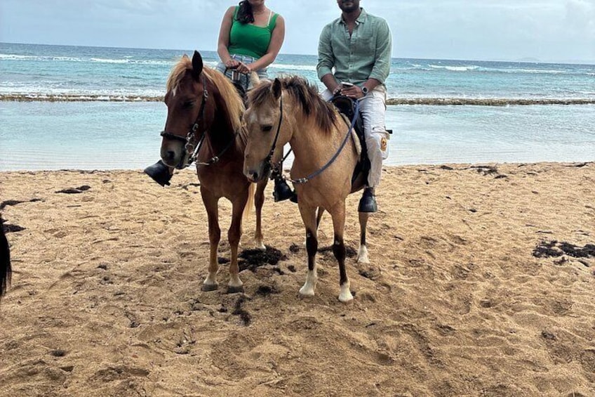 Horseback Riding on Vieques Beach 4