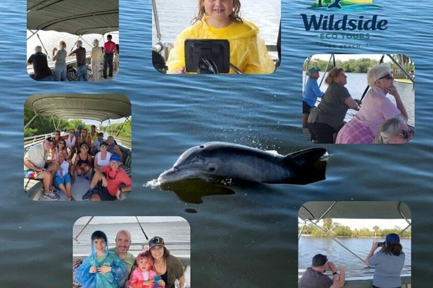 Dolphin Eco Cruise 4