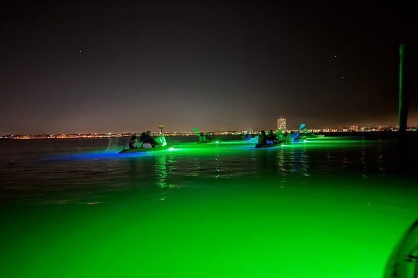 Sharkey's Glass Bottom Kayak Night Tour with Fish Feeding! 3